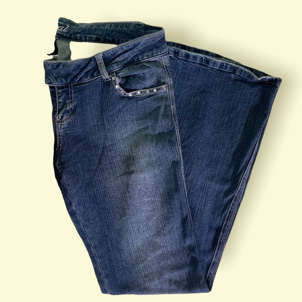 Wet Seal vintage Jeans size 13